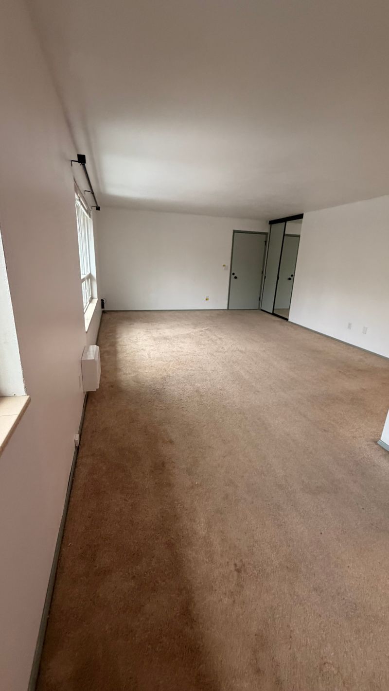 roommates in Seattle Entire Place 2Bed.1Bath - cirtru.com