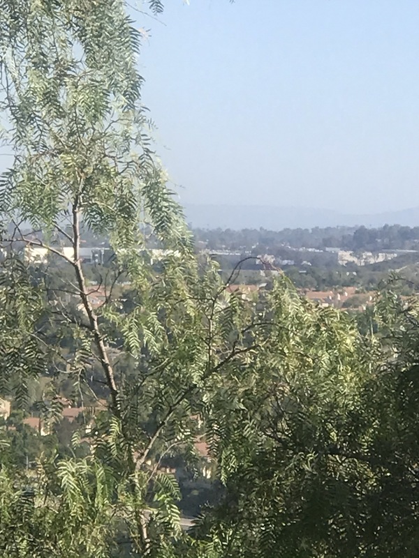 roommates in Carlsbad Room3Bed.3Bath - cirtru.com