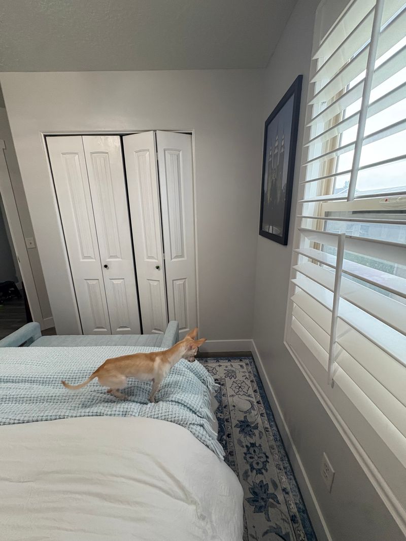 roommates in Riverton Private Room in 2Bed.1Bath - cirtru.com