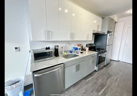 roommates in Chicago Entire Place 1Bed.1Bath - cirtru.com
