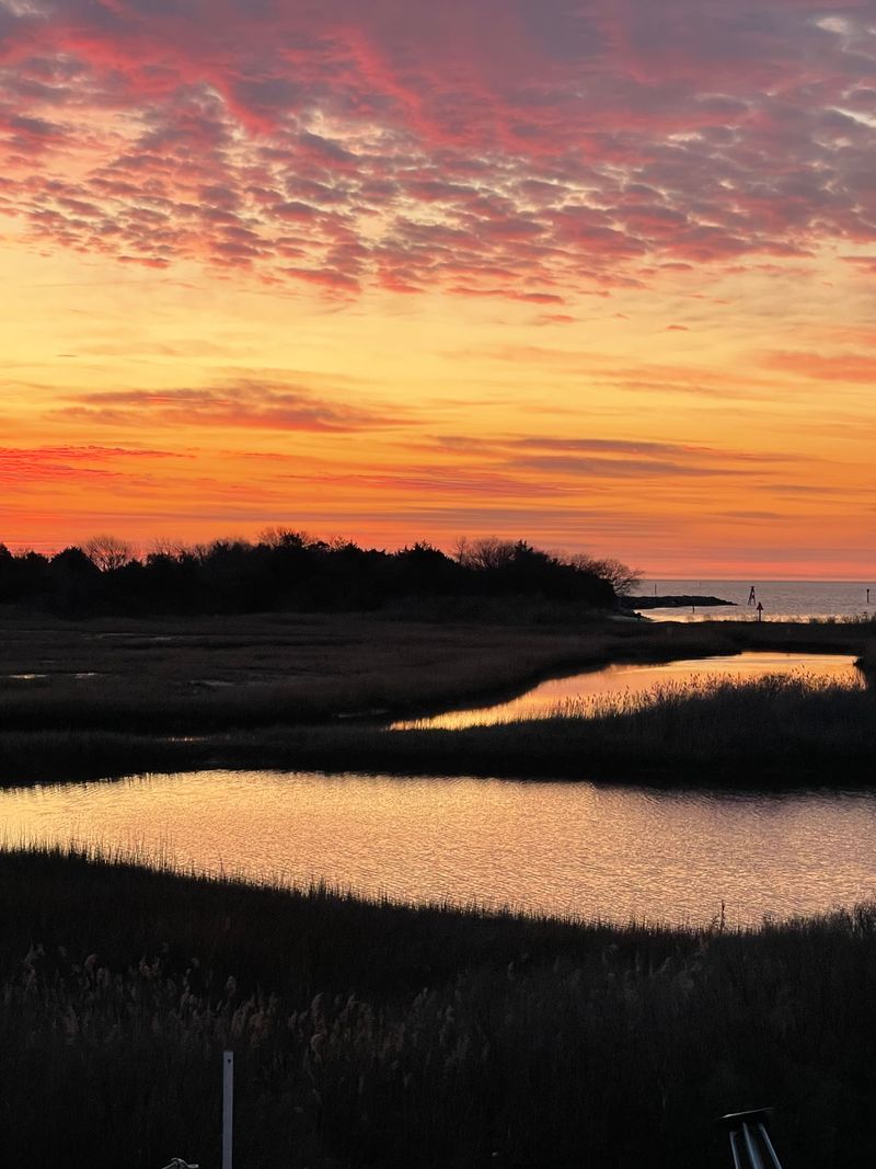 roommates in Hampton Room4Bed.2.5Bath - cirtru.com