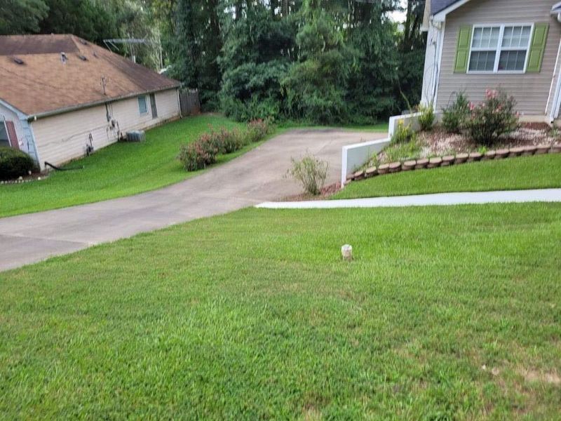 roommates in Covington Shared Room in 3Bed.2Bath - cirtru.com