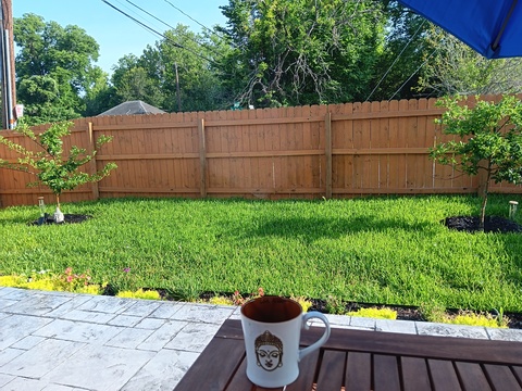 roommates in Houston Private Room in 3Bed.2Bath - cirtru.com