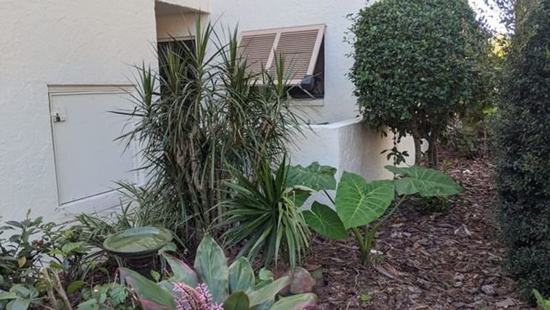 roommates in Sarasota Entire Place 2Bed.2Bath - cirtru.com