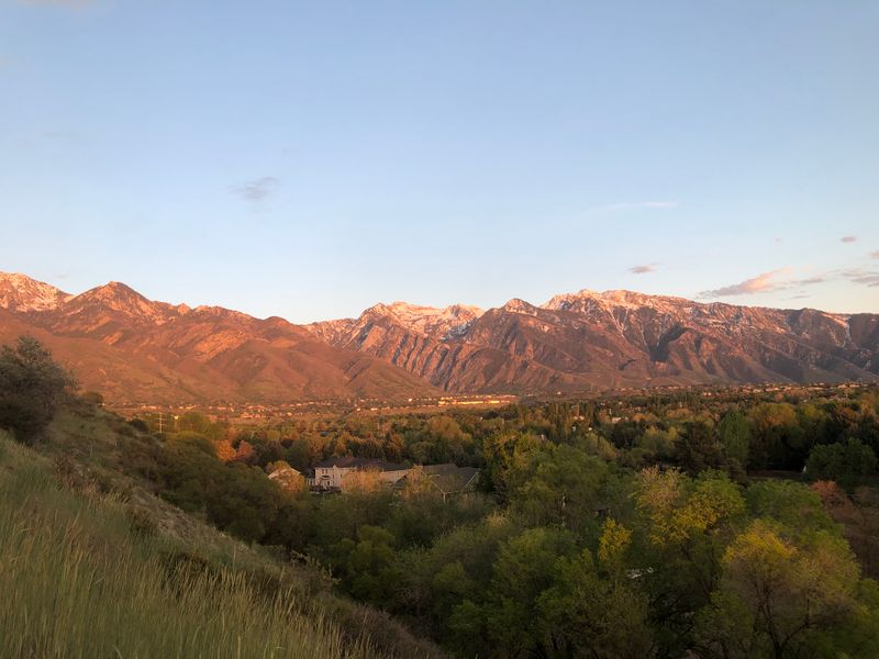 roommates in Cottonwood Heights Shared Room in 2Bed.2Bath - cirtru.com