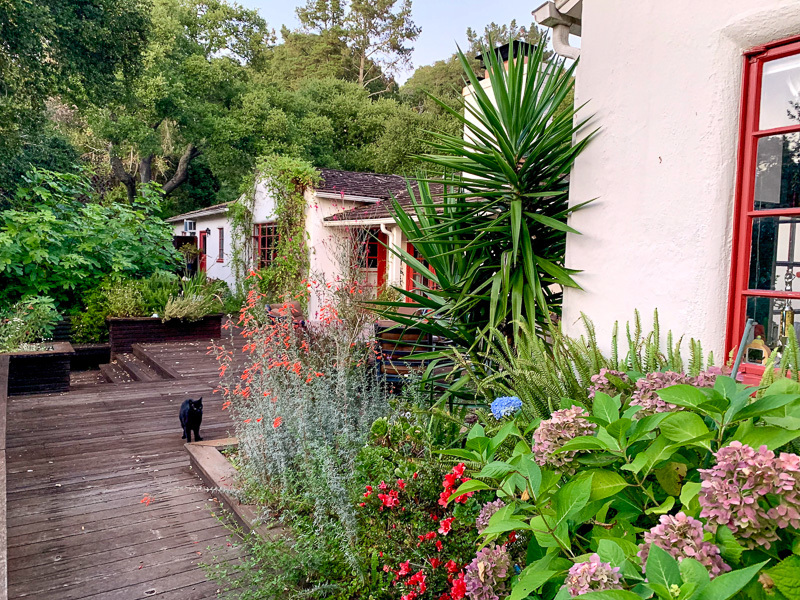 roommates in Orinda Entire Place 3Bed.2Bath - cirtru.com