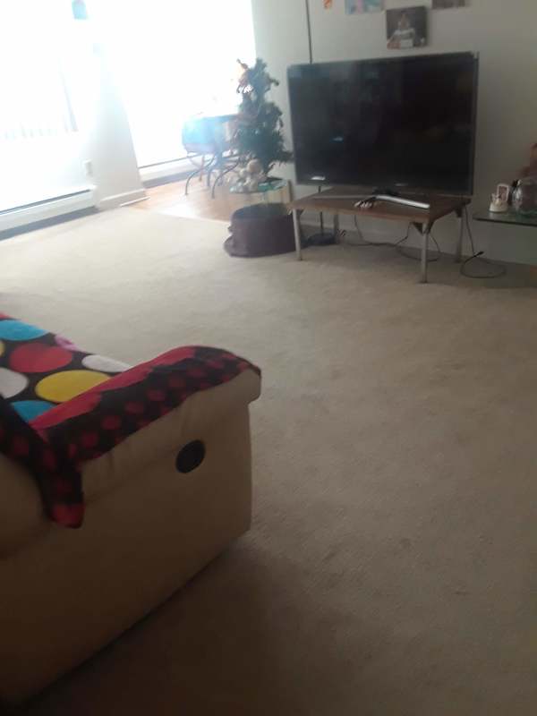 roommates in Rochester Private Room in 2Bed.1Bath - cirtru.com