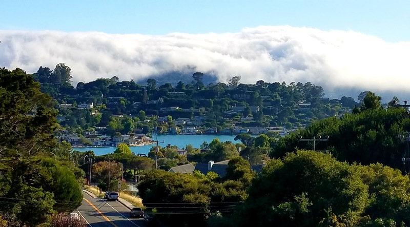 roommates in Tiburon Private Room in 2Bed.2Bath - cirtru.com