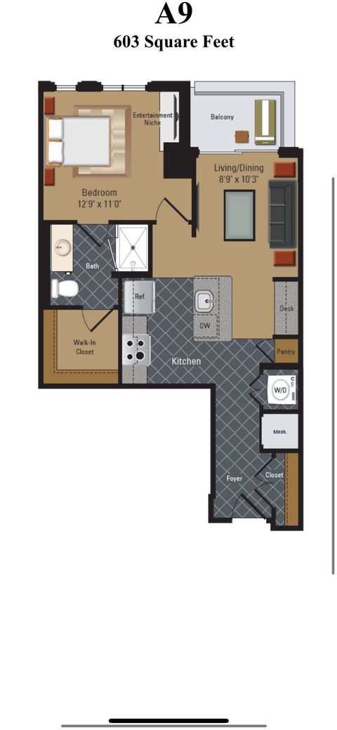 roommates in Arlington Entire Place 1Bed.1Bath - cirtru.com