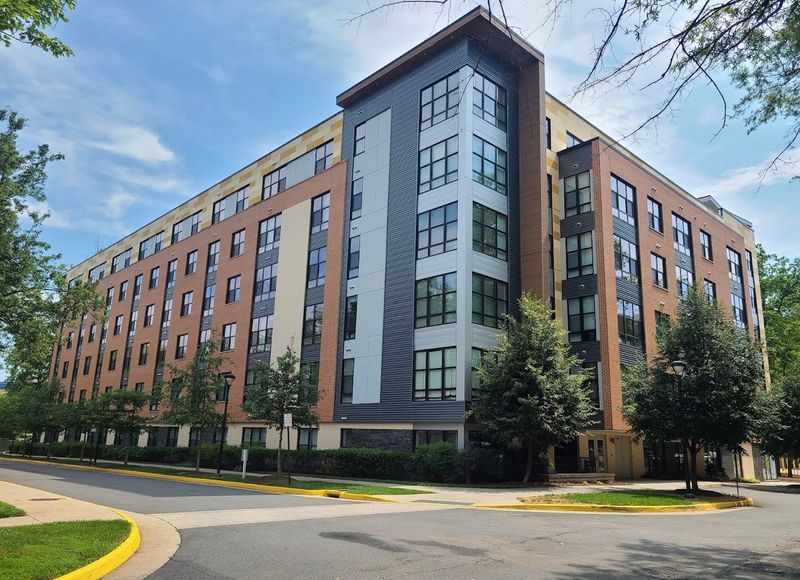 roommates in Fairfax Entire Place 1Bed.1Bath - cirtru.com