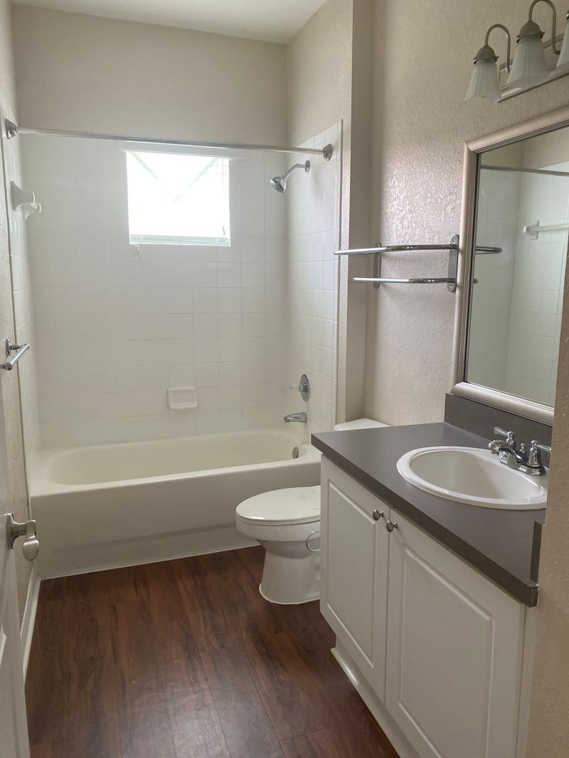 roommates in Tampa Private Room in 2Bed.2Bath - cirtru.com