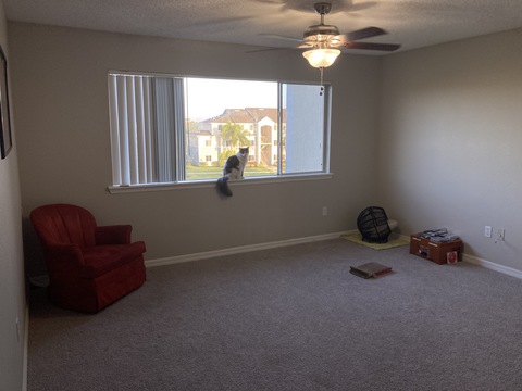 roommates in Fort Myers Shared Room in 1Bed.1Bath - cirtru.com