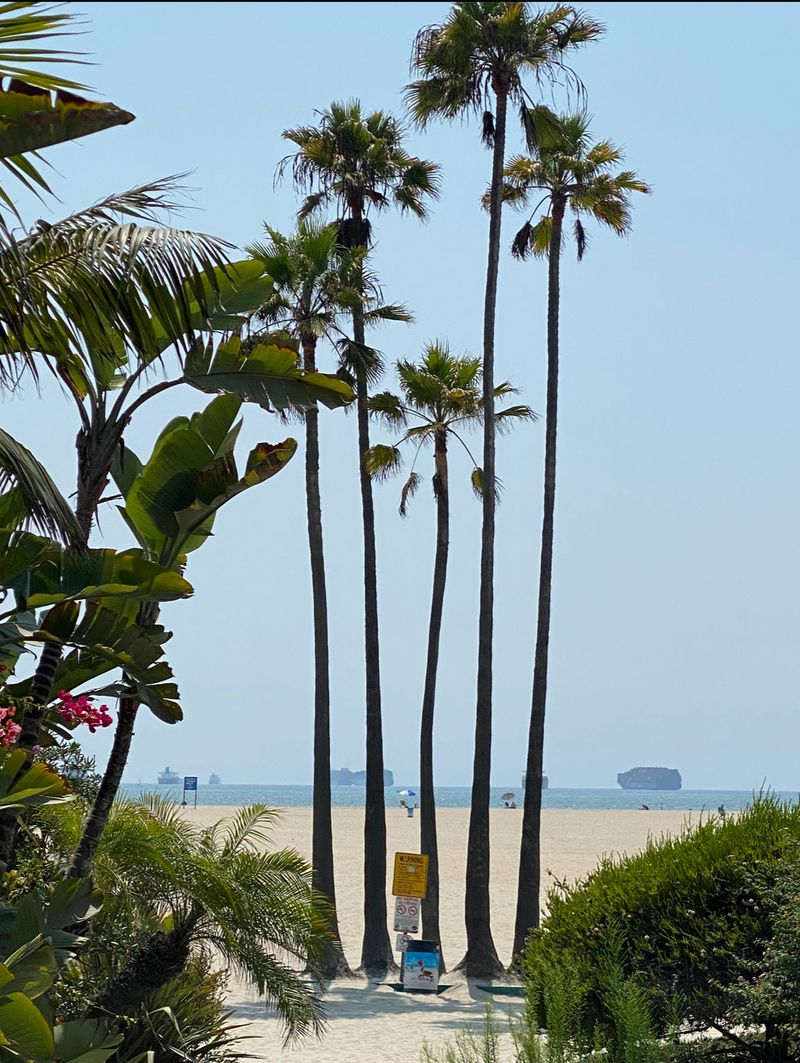 roommates in Seal Beach Private Room in 3Bed.2Bath - cirtru.com