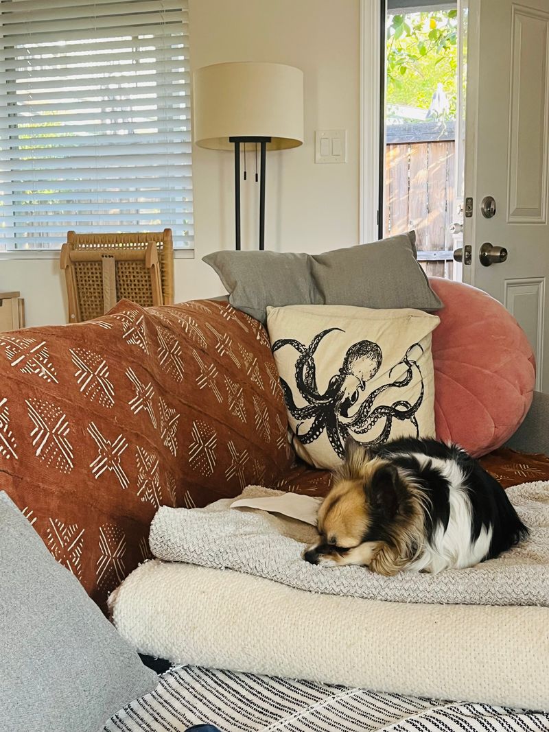 roommates in Pasadena Private Room in 2Bed.1Bath - cirtru.com
