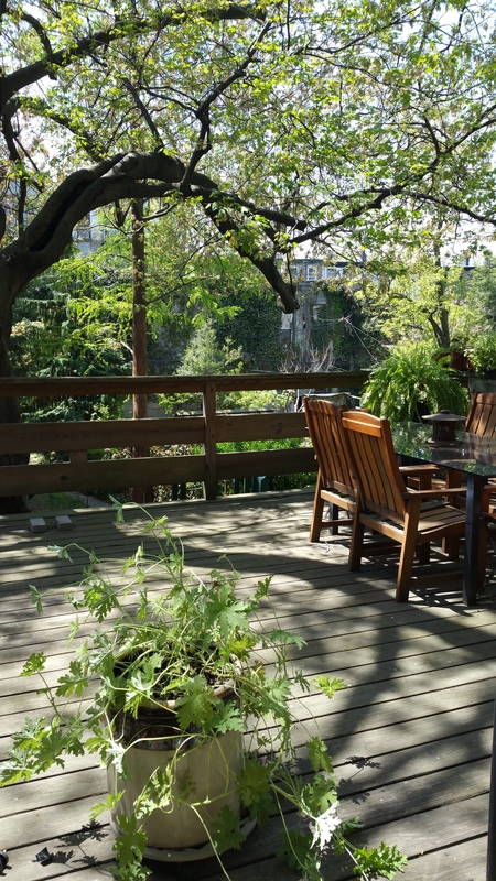 roommates in Brooklyn Lg Pvt Rm,Utilities Incl,Park Slope - cirtru.com