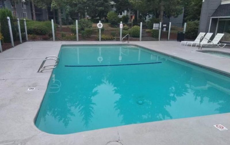 roommates in Issaquah Private Room in 3Bed.1.5Bath - cirtru.com