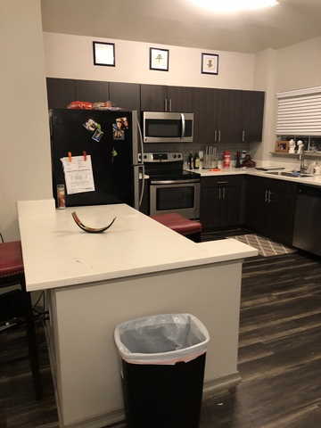 roommates in Austin Beautiful renovated apartment - cirtru.com