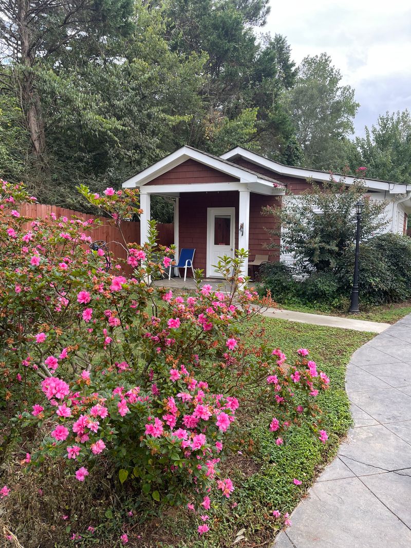 roommates in Cartersville Entire Place 1Bed.1Bath - cirtru.com