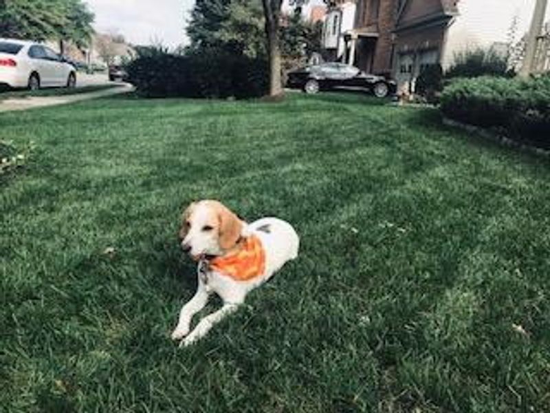 roommates in Springfield Private Room in 1Bed.1Bath - cirtru.com