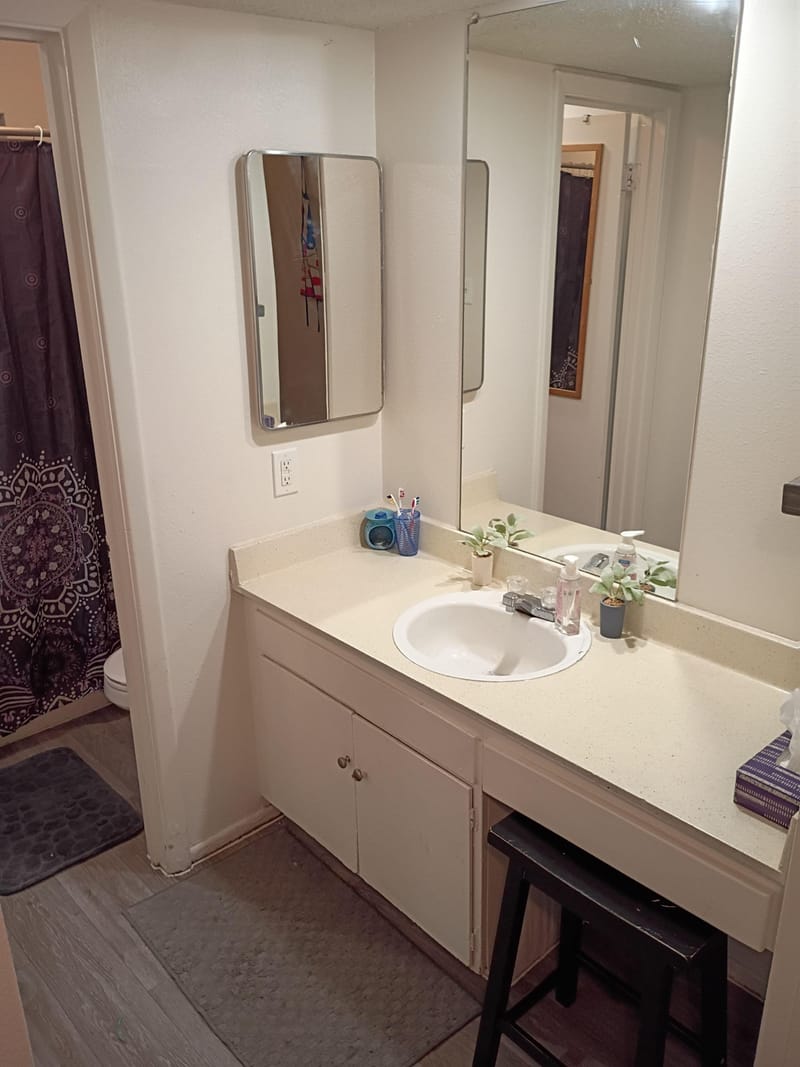 roommates in Undisclosed, Las Vegas, NV 89102 Great room for rent with attached bathroom right near the Las Vegas strip. (id. 29662) - cirtru.com