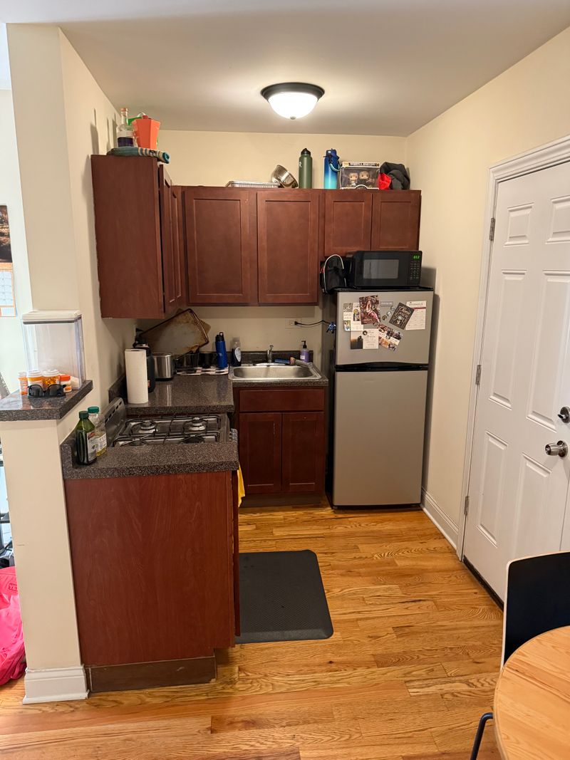 roommates in Chicago Entire Place 1Bed.1Bath - cirtru.com