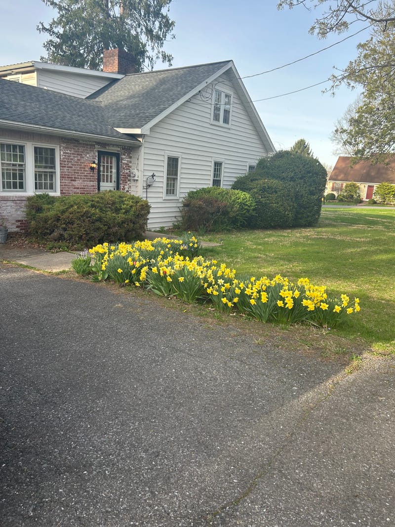 roommates in Danville Entire Place 3Bed.2Bath - cirtru.com