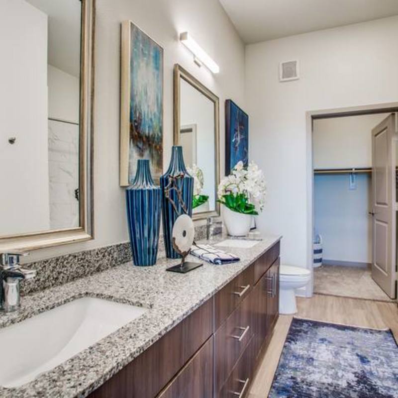 roommates in Irving Entire Place 3Bed.2Bath - cirtru.com