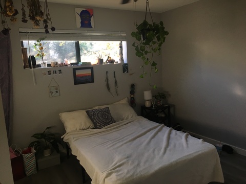 roommates in Houston Private Room in 2Bed.2Bath - cirtru.com