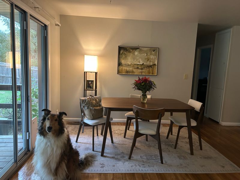 roommates in Tulsa Private Room in 3Bed.1.5Bath - cirtru.com