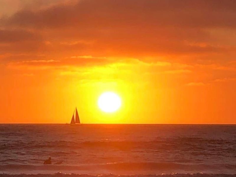 roommates in San Diego Entire Place 1Bed.1Bath - cirtru.com