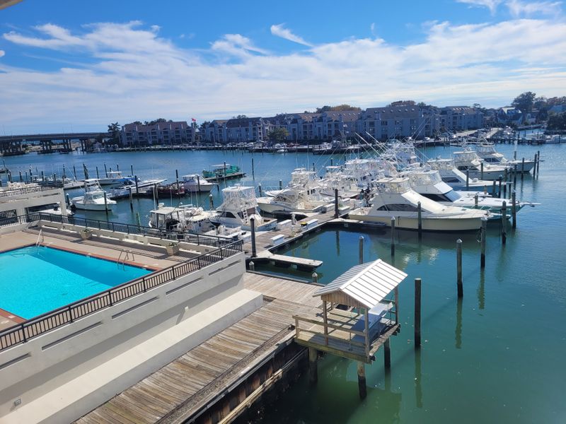 roommates in Virginia Beach Room2Bed.2Bath - cirtru.com