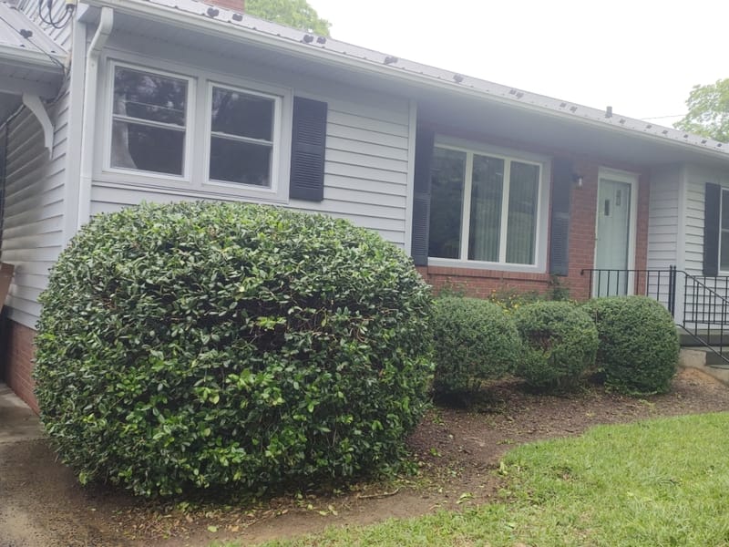 roommates in Star Entire Place 2Bed.1Bath - cirtru.com