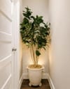 North Ironbound Home (id. 43057)
