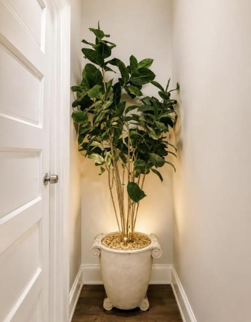 North Ironbound Home (id. 43057)