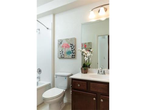 roommates in San Jose Bed+Bath+Parking+Utility near SJSU - cirtru.com