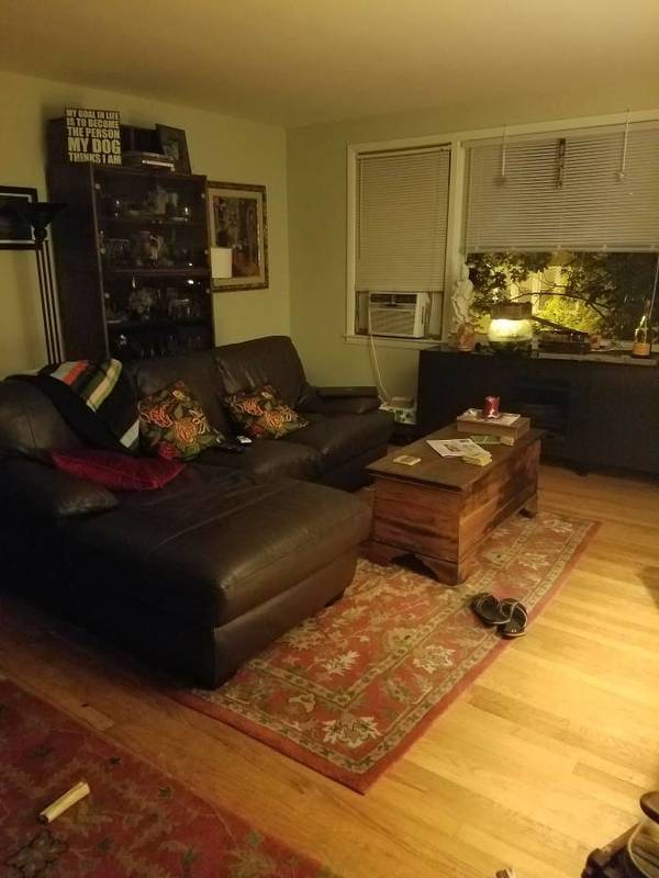 Roommate Wanted for 3 bdr Apt