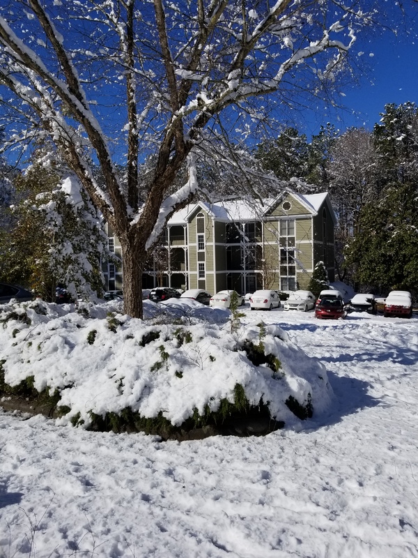 3601 Highgate Drive, Durham, North Carolina 27713, United States Cirtru