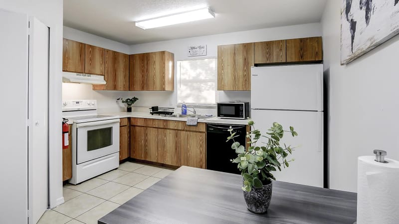 roommates in Undisclosed, Tampa, FL 33612 Tampa Apartment with Dining area. Homey & cozy (id. 3694) - cirtru.com
