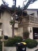 Private Room in 2Bed.2Bath