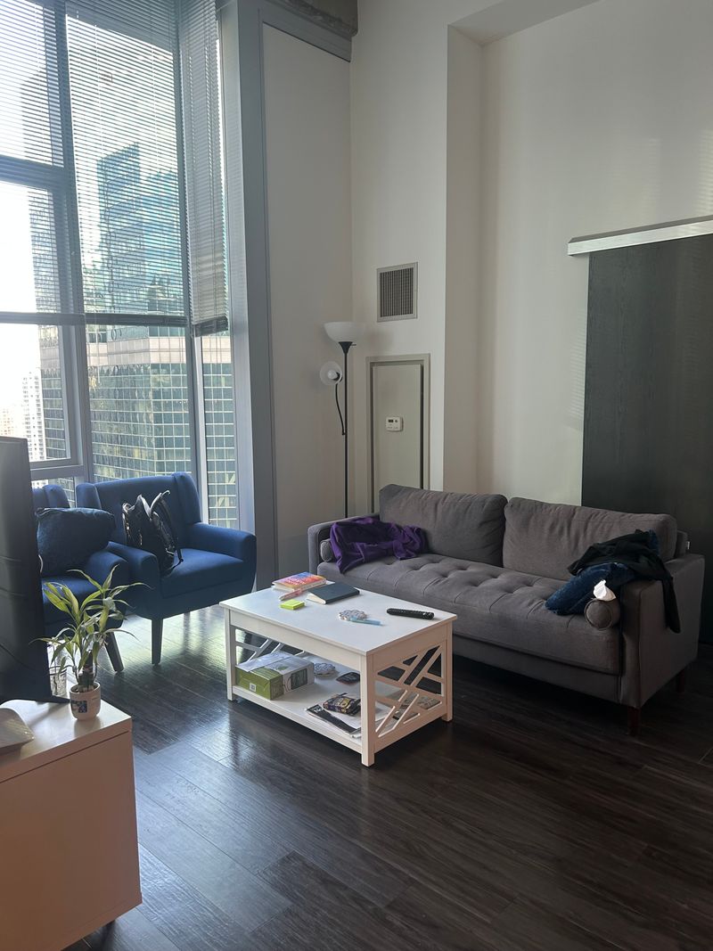 roommates in Chicago Entire Place 1Bed.1Bath - cirtru.com