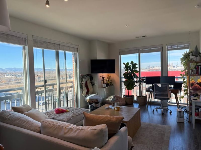 roommates in Denver Entire Place 1Bed.1Bath - cirtru.com
