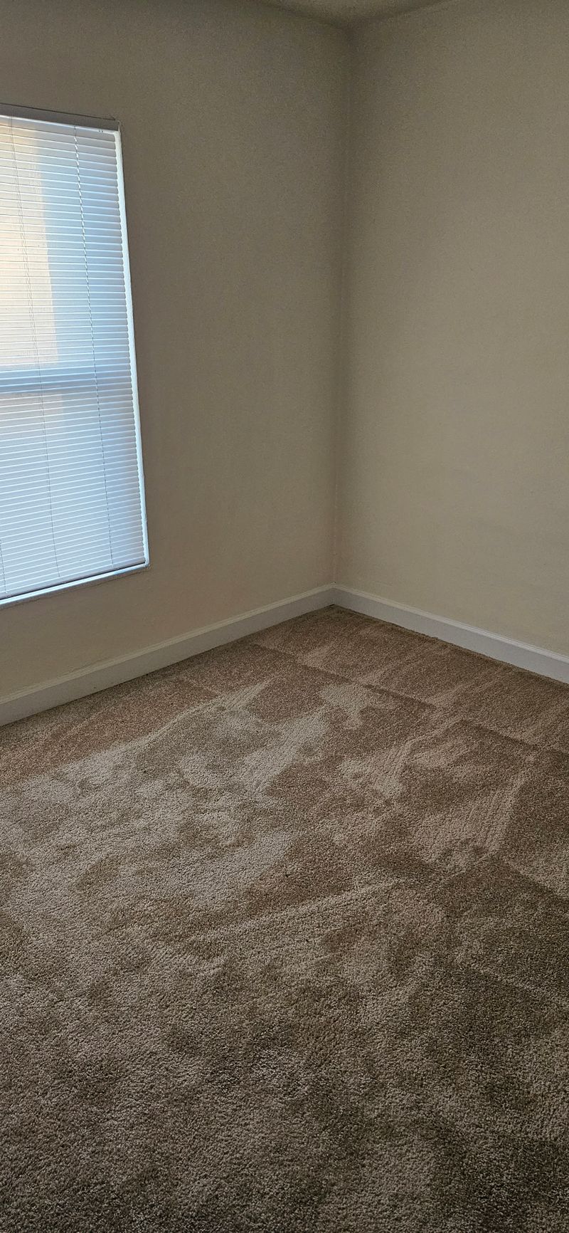 roommates in St. Louis Private Room in 2Bed.1Bath - cirtru.com