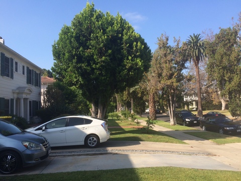 roommates in Los Angeles Private Room in 1Bed.1Bath - cirtru.com