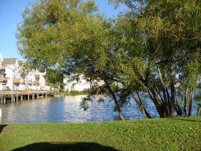 roommates in North Charleston Private Room in 3Bed,4Bath town hom - cirtru.com