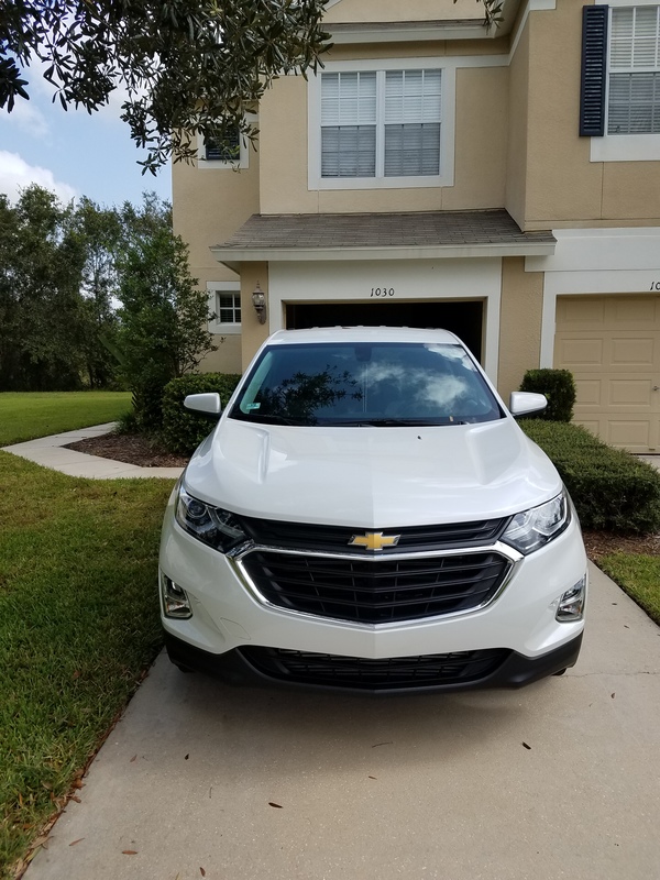 roommates in Brandon Professional looking for roommate - cirtru.com