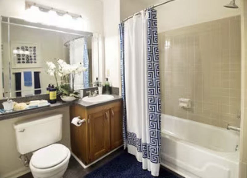 roommates in Atlanta Entire Place 1Bed.1Bath - cirtru.com