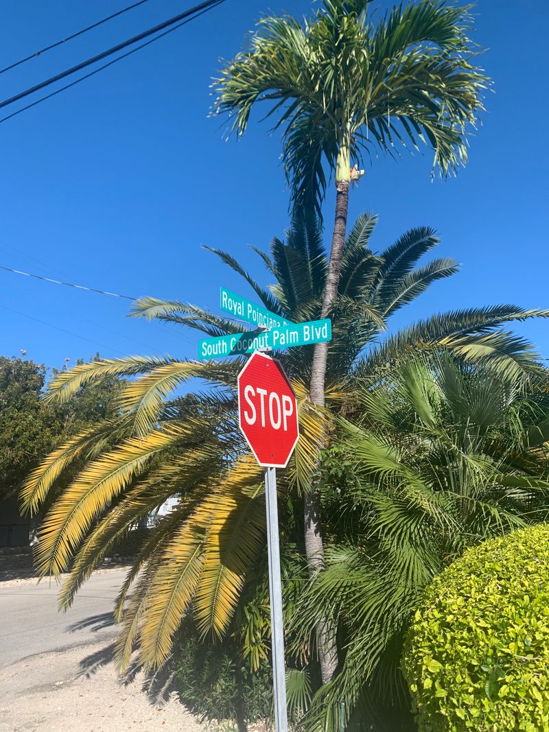 roommates in Tavernier Entire Place 1Bed.1Bath - cirtru.com