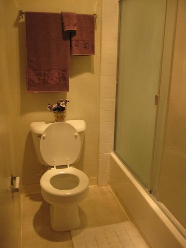 Roommate For 1B/1B Apt At San Jose
