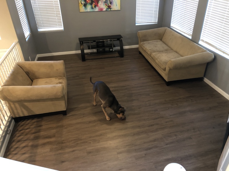 Private Room in 4Bed.4Bath