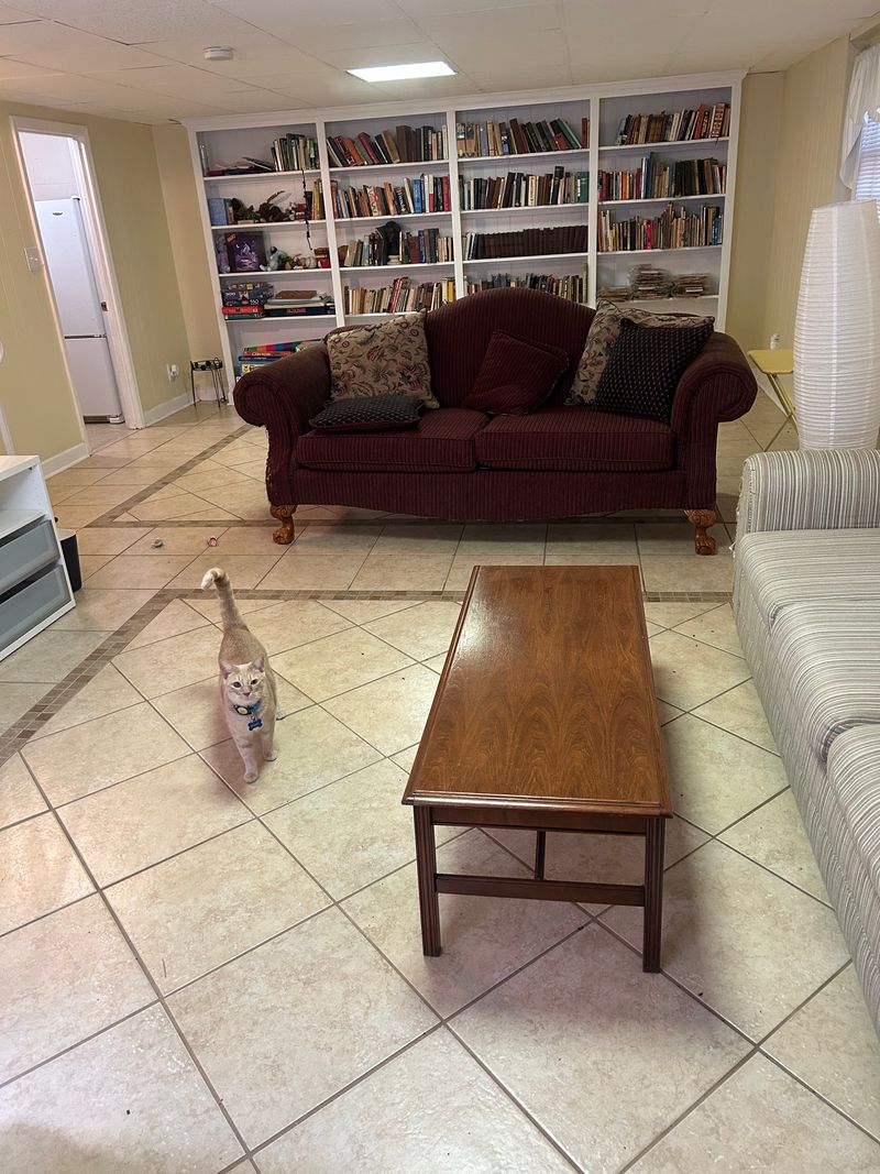 roommates in Durham Entire Place 1Bed.1Bath - cirtru.com